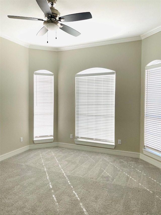 spare room with ceiling fan, crown molding, baseboards, and carpet floors