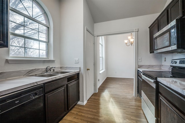 kitchen featuring sink, dark hardwood / wood-style floors, appliances with stainless steel finishes, and plenty of natural light