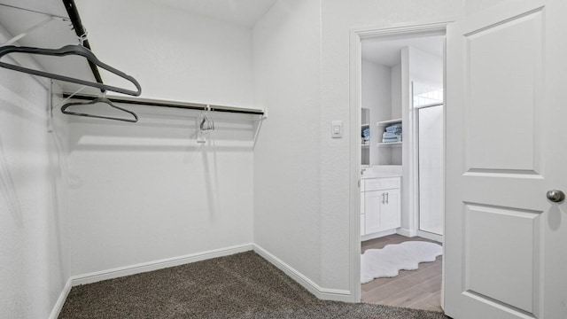 walk in closet featuring carpet