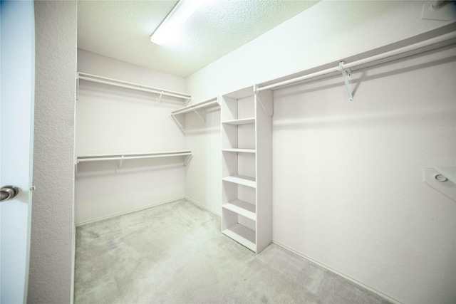 spacious closet featuring light carpet