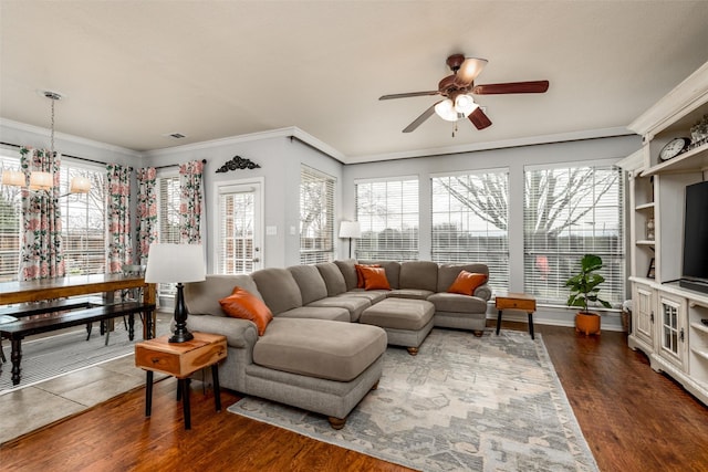 living room featuring ceiling fan with notable chandelier, ornamental molding, and dark wood-type flooring