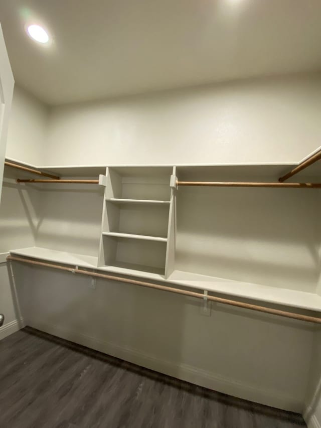 spacious closet featuring dark wood-type flooring