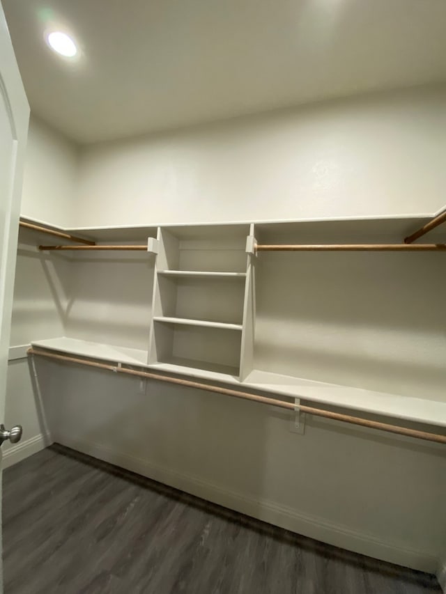 spacious closet with dark wood-type flooring