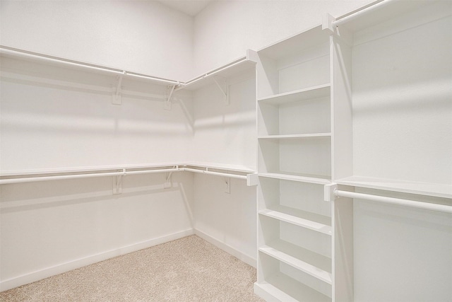 spacious closet with light carpet