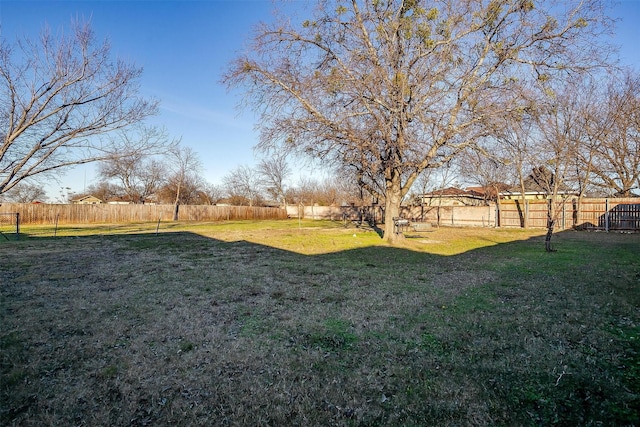 view of yard