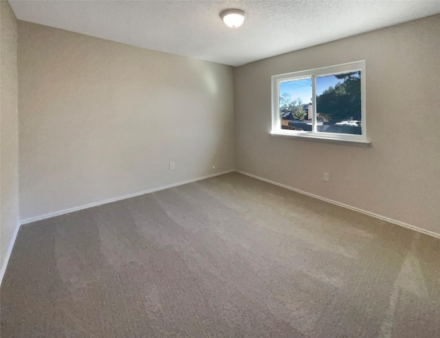 empty room with carpet flooring and a textured ceiling