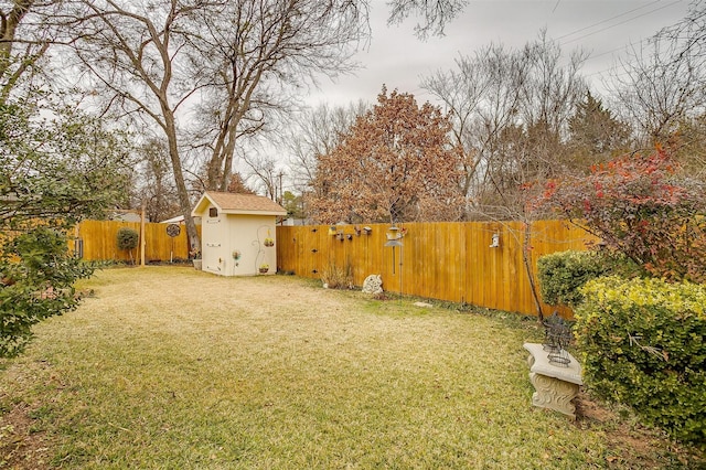 view of yard featuring a storage unit