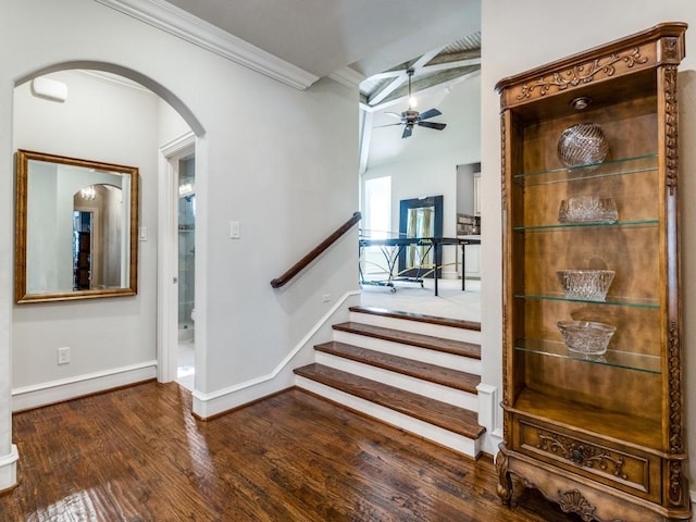 stairs with ceiling fan, wood-type flooring, and crown molding