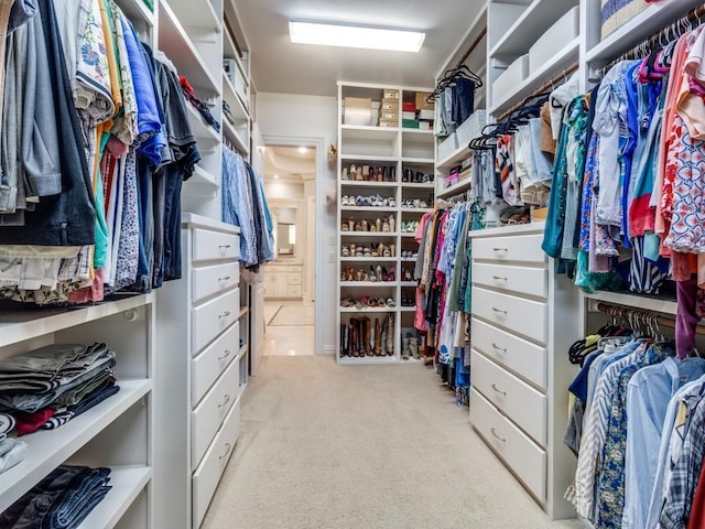 walk in closet with light carpet