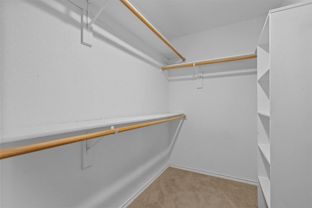 spacious closet with light colored carpet