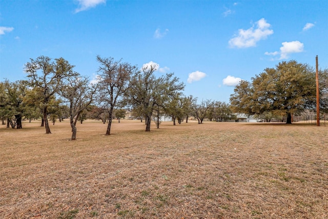 view of yard featuring a rural view