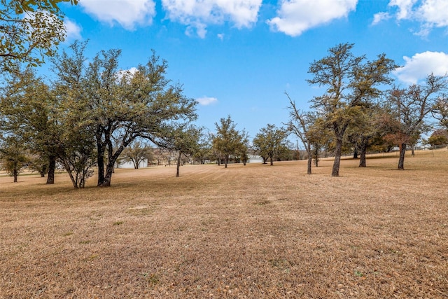 view of yard featuring a rural view