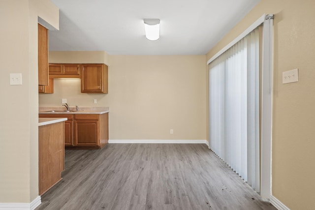 kitchen featuring sink and light wood-type flooring