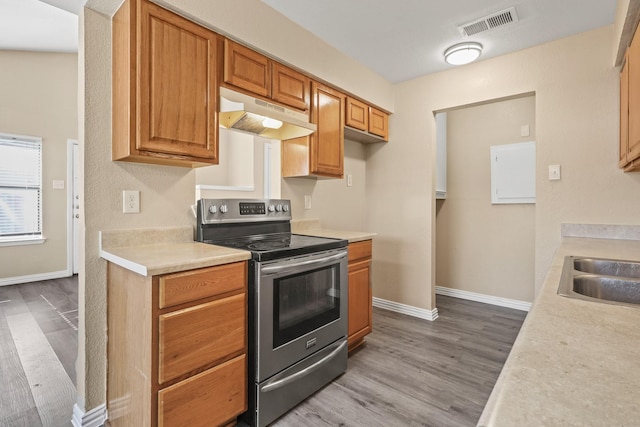 kitchen featuring sink, stainless steel electric range, and wood-type flooring