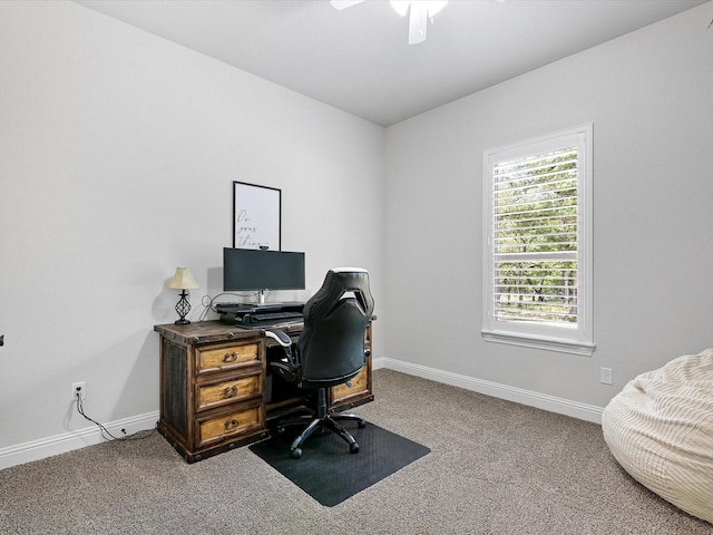 office space featuring carpet floors