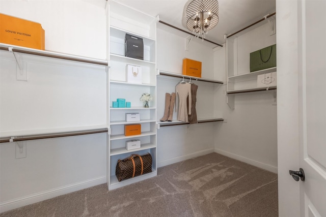 spacious closet with a notable chandelier and carpet floors