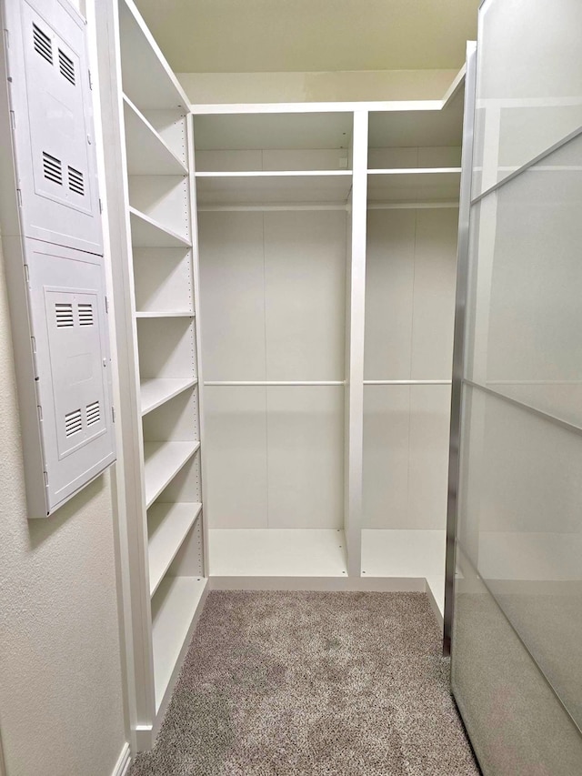 spacious closet featuring carpet floors