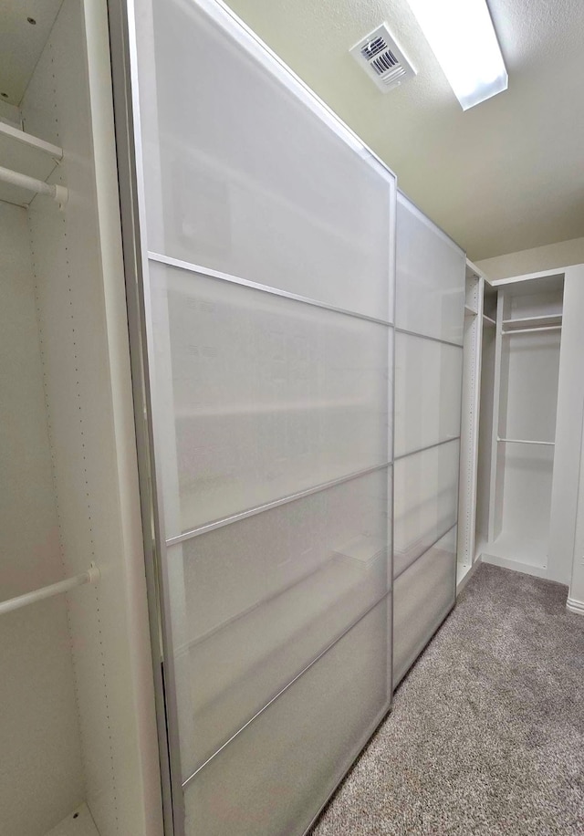 spacious closet with carpet