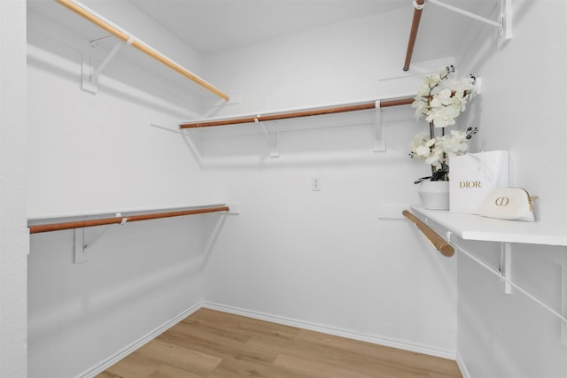 spacious closet featuring hardwood / wood-style flooring