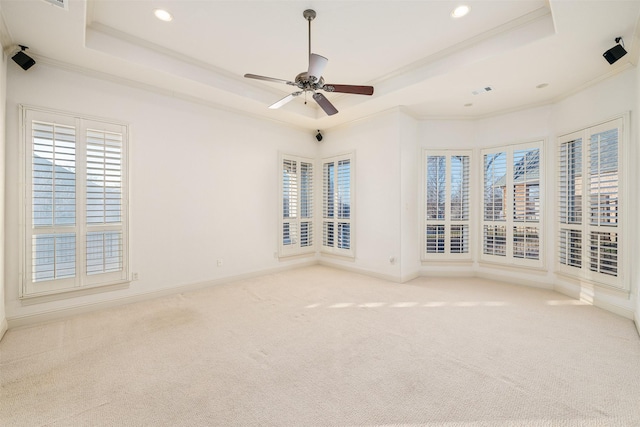 unfurnished room with light colored carpet and a raised ceiling