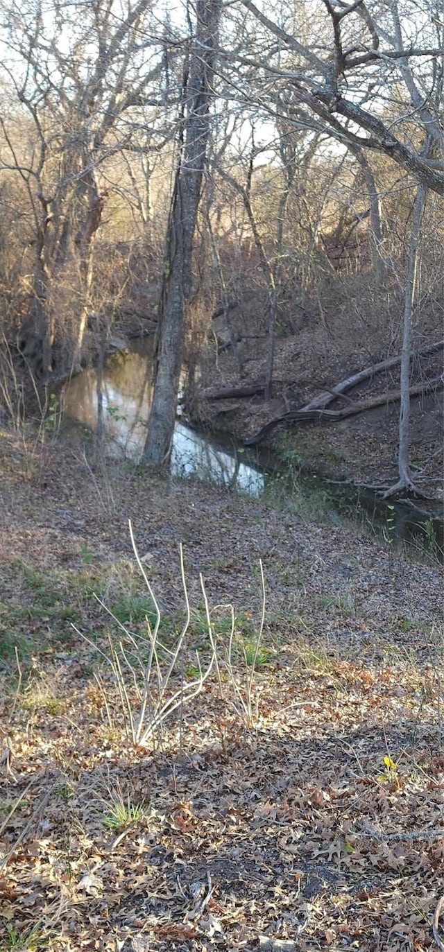 view of landscape featuring a water view