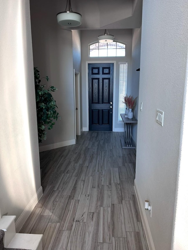 entrance foyer featuring a towering ceiling and hardwood / wood-style floors