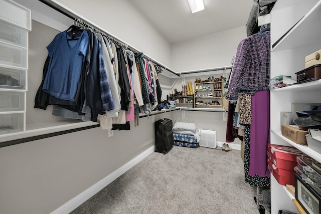 walk in closet with carpet