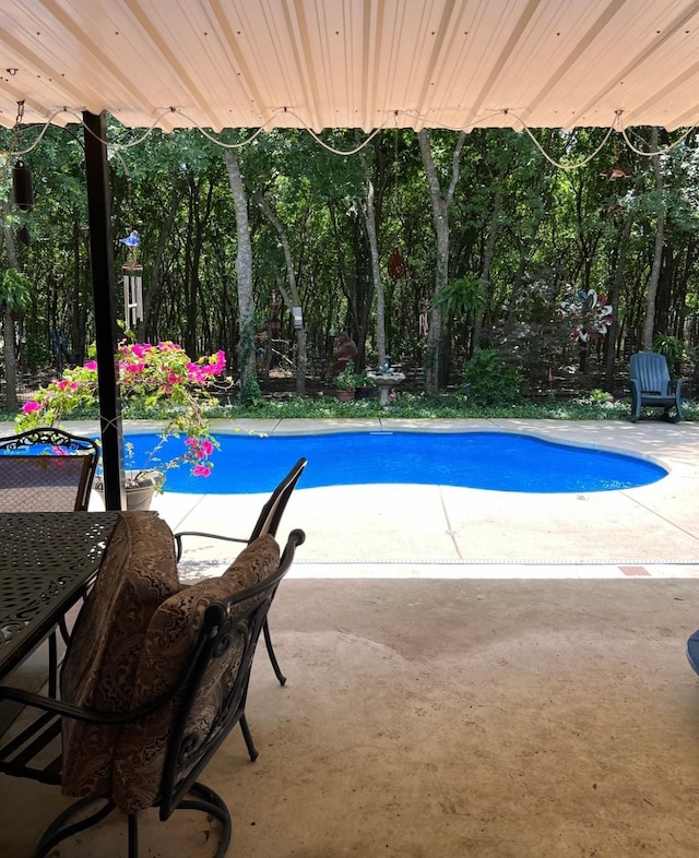 view of pool with a patio