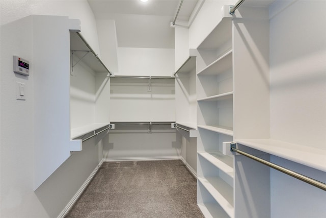 spacious closet with dark carpet