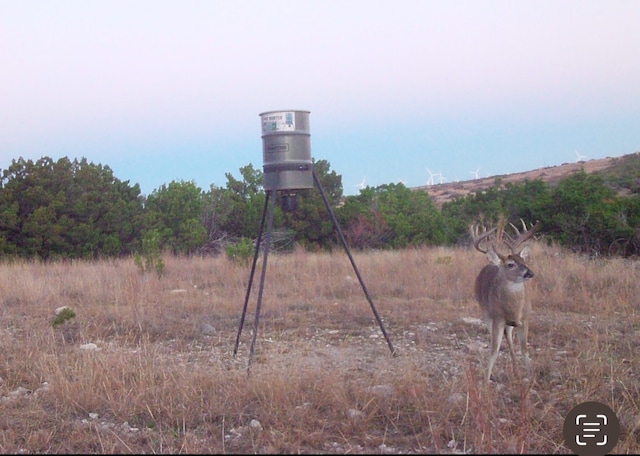 000 Fm 2035, Sweetwater TX, 79556 land for sale