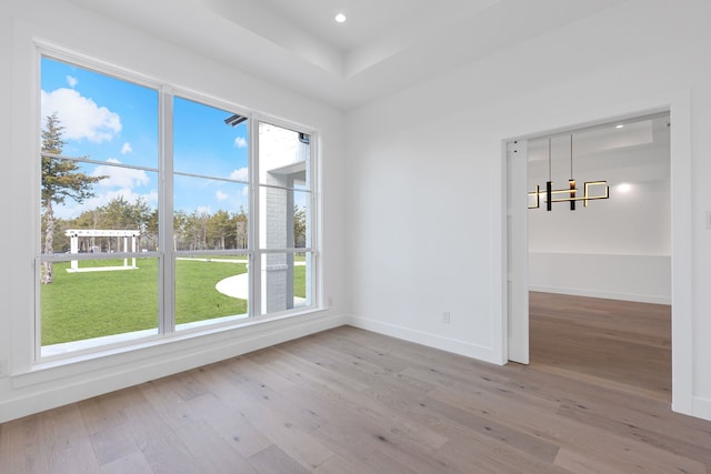 empty room with light hardwood / wood-style floors and a tray ceiling