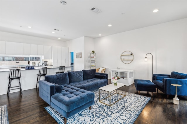 living room featuring sink and dark wood-type flooring