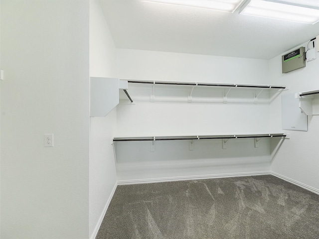 walk in closet featuring dark colored carpet