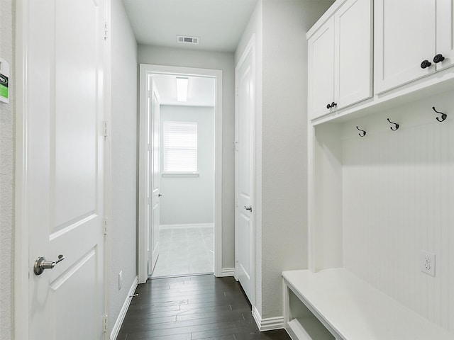 mudroom with dark wood-type flooring