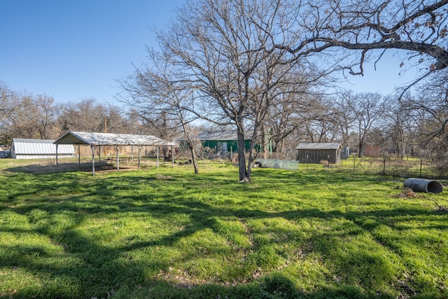 view of yard with a storage shed