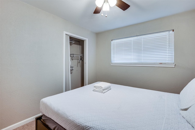 bedroom with a closet, ceiling fan, carpet flooring, and a spacious closet