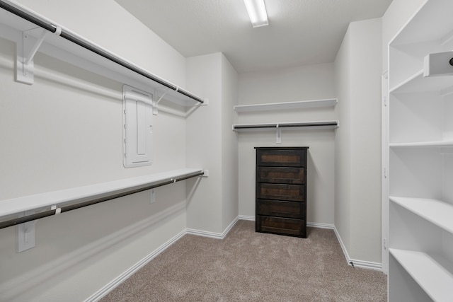 spacious closet with light colored carpet