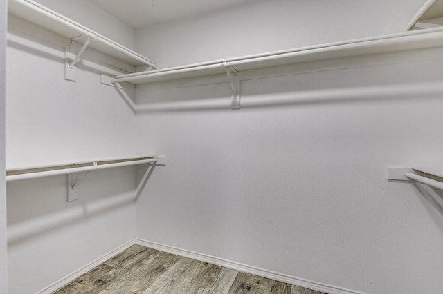 walk in closet featuring hardwood / wood-style floors