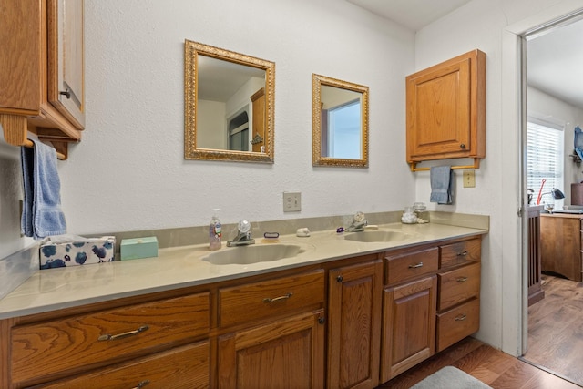 bathroom featuring wood-type flooring and vanity