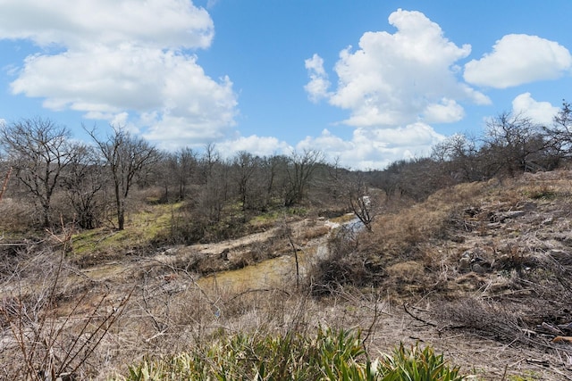 view of local wilderness