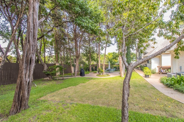 view of yard featuring a patio area