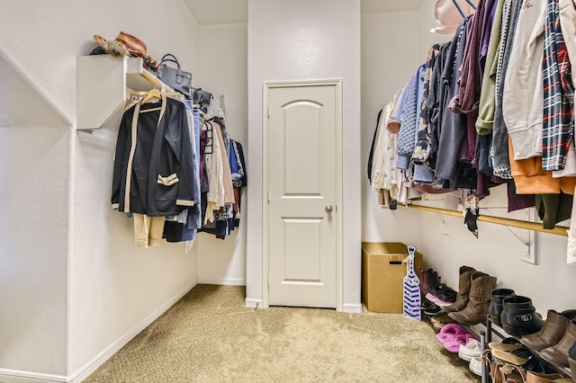 spacious closet featuring carpet