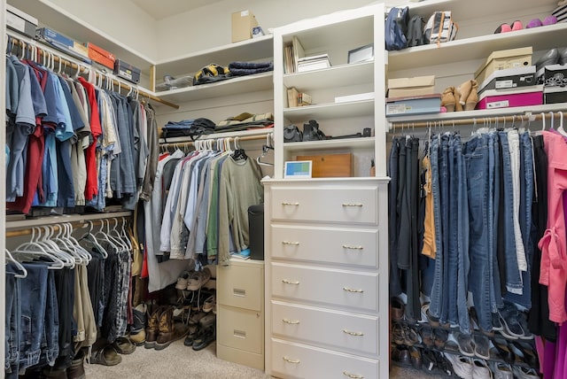 spacious closet featuring carpet floors