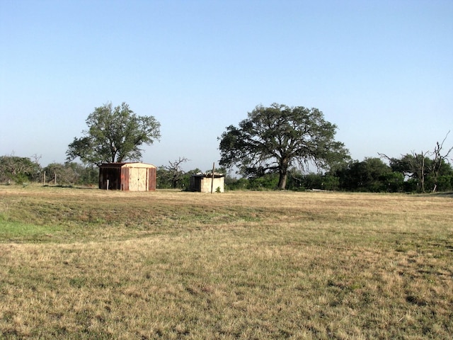 view of yard featuring a storage unit