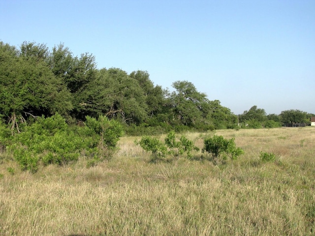 view of local wilderness with a rural view