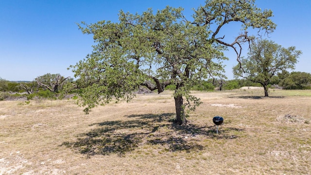 view of landscape featuring a rural view