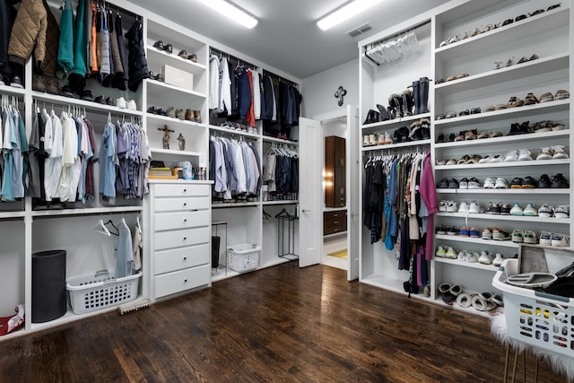 walk in closet featuring wood-type flooring