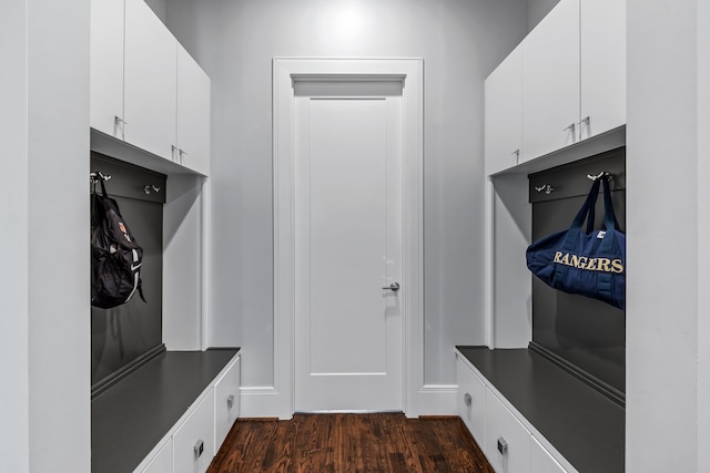 mudroom with dark hardwood / wood-style flooring