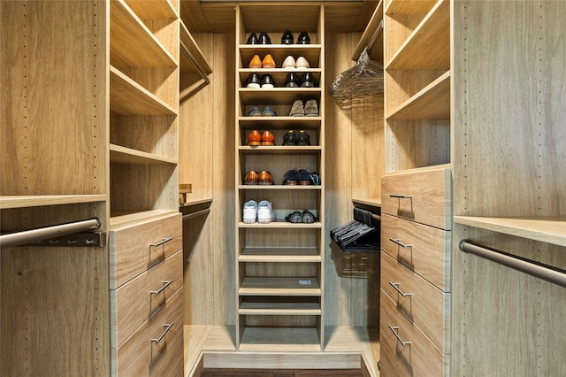 view of spacious closet