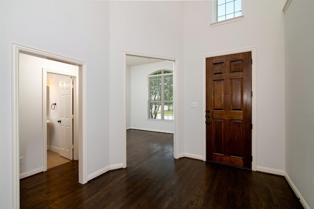 foyer with a high ceiling and dark hardwood / wood-style flooring